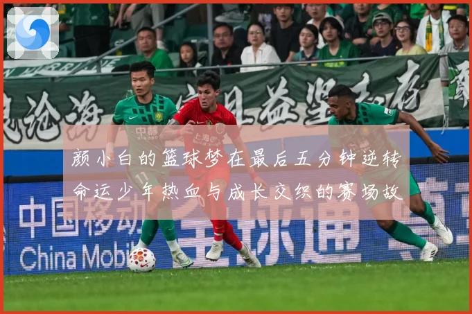 颜小白的篮球梦在最后五分钟逆转命运少年热血与成长交织的赛场故赛场复盘